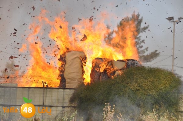 firecartoonsecnd506 (4).JPG